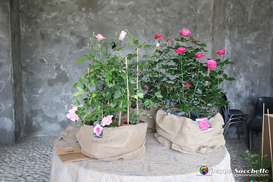 VBS_4630 - Premio della Rosa Principessa Maria Letizia - Sesta edizione 0043.jpg